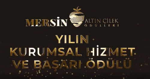 Yılın Kurumsal Hizmet Başarı Ödülü